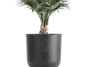 decorative palm in a vig planter flowerpot 837 Modelo 3D