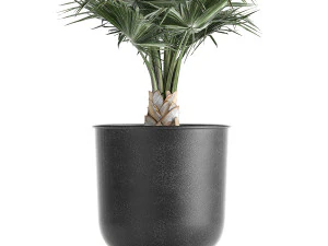 decorative palm in a vig planter flowerpot 837 3D Model