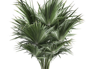 decorative palm in a vig planter flowerpot 837 Modelo 3D