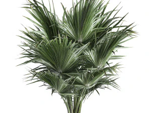 decorative palm in a vig planter flowerpot 837 3D Model