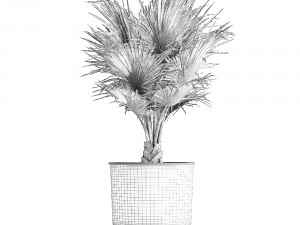 decorative palm in a vig planter flowerpot 837 Modelo 3D