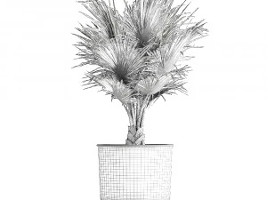 decorative palm in a vig planter flowerpot 837 3D Model