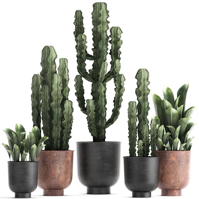 decorative plants in flowerpots 839 3D Model .c4d .max .obj .3ds .fbx .stl .blend 
