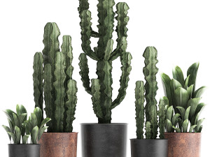 decorative plants in flowerpots 839 3D Model