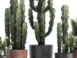 decorative plants in flowerpots 839 3D Model