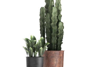 decorative plants in flowerpots 839 3D Model