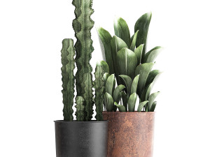 decorative plants in flowerpots 839 3D Model