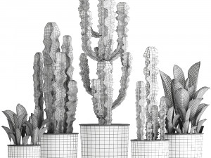 decorative plants in flowerpots 839 3D Model