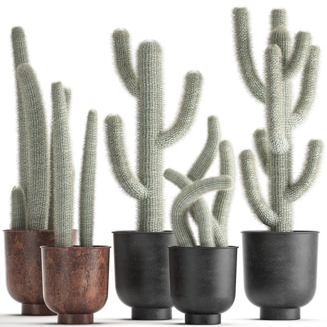 actus collection in a flowerpots 840 Modelo 3D .c4d .max .obj .3ds .fbx .stl .blend 
