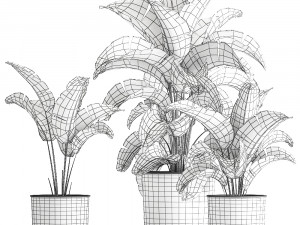 strelitzia in a pot for the interior 842 Modelo 3D