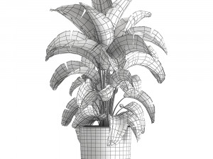 strelitzia in a pot for the interior 843 3D Model