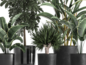 houseplants in a pot for the interior 843 Modelo 3D