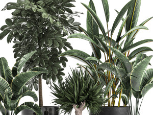 houseplants in a pot for the interior 843 Modelo 3D