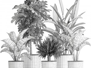 houseplants in a pot for the interior 843 Modelo 3D