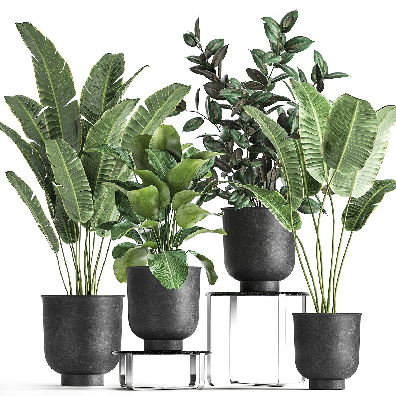houseplants in a pot for the interior 845 3D Model .c4d .max .obj .3ds .fbx .stl .blend