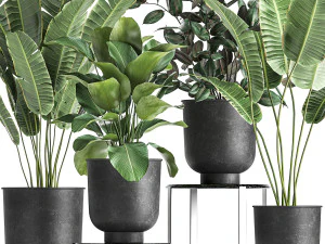 houseplants in a pot for the interior 845 3D Model