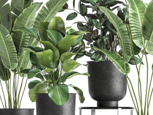 houseplants in a pot for the interior 845 3D Model