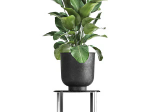 houseplants in a pot for the interior 845 3D Model
