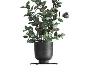 houseplants in a pot for the interior 845 3D 모델