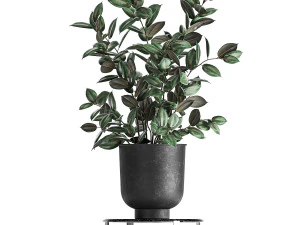 houseplants in a pot for the interior 845 3D Model