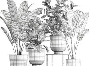 houseplants in a pot for the interior 845 3D 모델