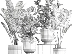 houseplants in a pot for the interior 845 3D Model