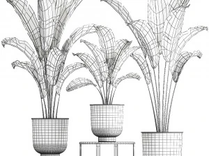 banana palm in a pot for the interior 846 3D Model