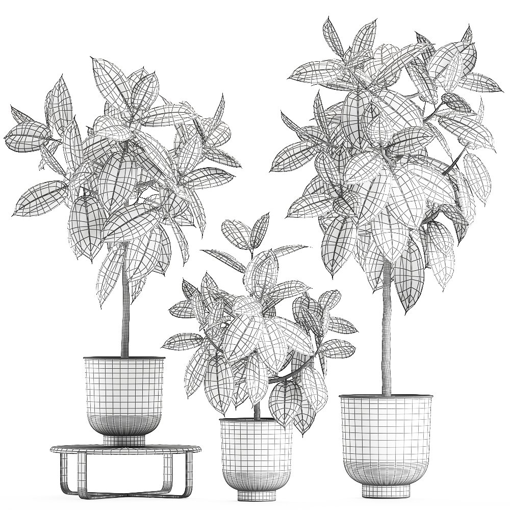 Как нарисовать фикус в горшке карандашом поэтапно