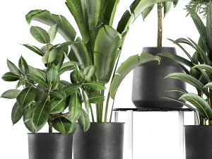 houseplants in a pot for the interior 855 3D Model