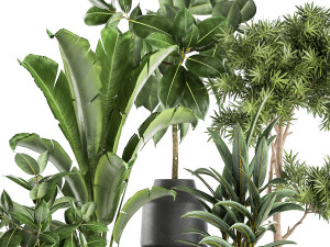 houseplants in a pot for the interior 855 3D Model
