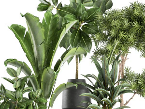houseplants in a pot for the interior 855 3D Model