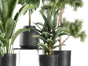 houseplants in a pot for the interior 855 3D Model