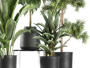 houseplants in a pot for the interior 855 3D Model