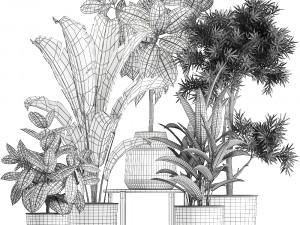 houseplants in a pot for the interior 855 3D Model