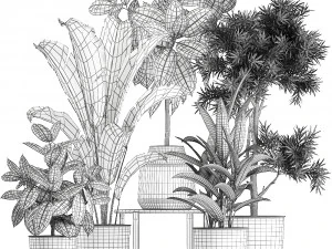houseplants in a pot for the interior 855 3D Model