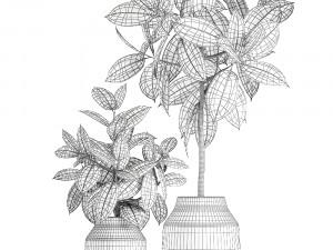 ficus tree in a pot for the interior 857 3D 모델