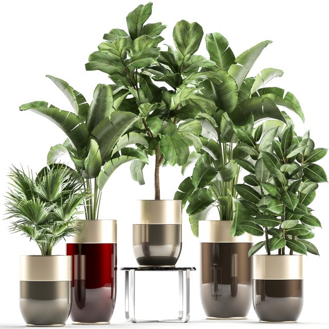 houseplants in a pot for the interior 858 Modello 3D .c4d .max .obj .3ds .fbx .stl .blend 