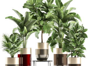 houseplants in a pot for the interior 858 3D Model