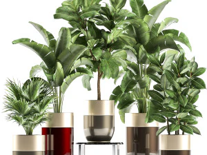 i&ccedil; mekan i&ccedil;in bir tencerede ev bitkileri 858 3D Model