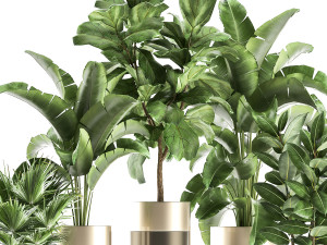 houseplants in a pot for the interior 858 Modello 3D
