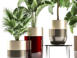 houseplants in a pot for the interior 858 Modello 3D