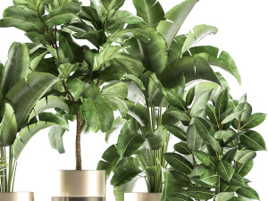 houseplants in a pot for the interior 858 Modello 3D