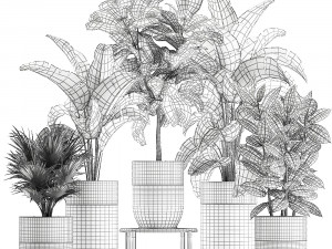 houseplants in a pot for the interior 858 Modello 3D