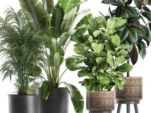 plants in a flowerpots for the interior 861 Model 3D