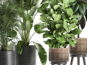plants in a flowerpots for the interior 861 3D 模型