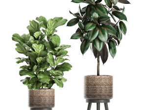 plants in a flowerpots for the interior 861 3D 模型