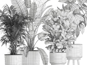 plants in a flowerpots for the interior 861 3D 模型