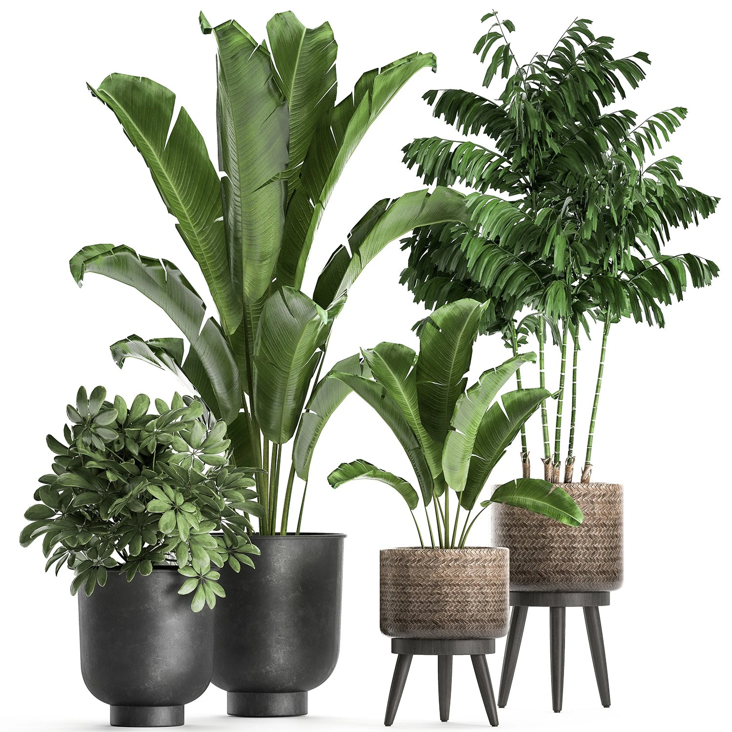 plants in a flowerpots for the interior 865 3D Model .c4d .max .obj .3ds .fbx .stl .blend