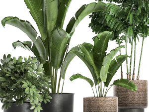 plants in a flowerpots for the interior 865 3D Model