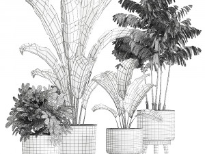 plants in a flowerpots for the interior 865 Model 3D